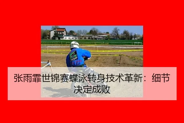 zhang-yu-fei-shi-jin-sai-die-yong-zhuan-shen-ji-shu-ge-xin-xi-jie-jue-ding-cheng-bai-3-781.jpg