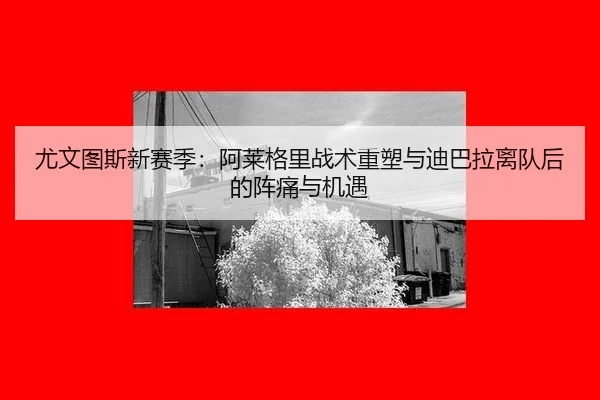 尤文图斯新赛季：阿莱格里战术重塑与迪巴拉离队后的阵痛与机遇