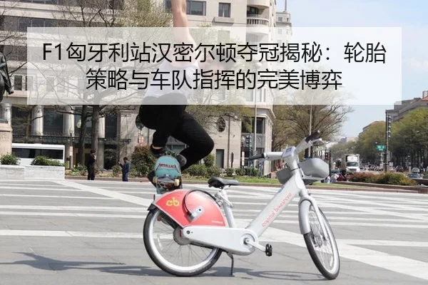 xiong-ya-li-zhan-han-mi-er-dun-duo-guan-jie-mi-lun-tai-ce-lve-yu-che-dui-zhi-hui-de-wan-mei-bo-yi-2-898.jpg