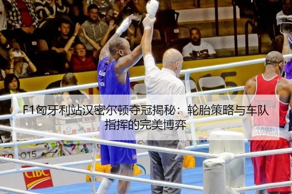 xiong-ya-li-zhan-han-mi-er-dun-duo-guan-jie-mi-lun-tai-ce-lve-yu-che-dui-zhi-hui-de-wan-mei-bo-yi-3-205.jpg