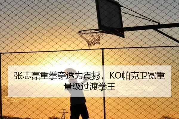 张志磊重拳穿透力震撼，KO帕克卫冕重量级过渡拳王