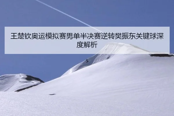 wang-chu-qin-ao-yun-mo-ni-sai-nan-dan-ban-jue-sai-ni-zhuan-fan-zhen-dong-guan-jian-qiu-shen-du-jie-xi-2-148.jpg