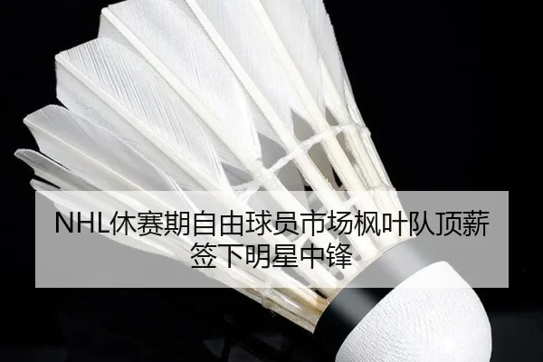 xiu-sai-qi-zi-you-qiu-yuan-shi-chang-feng-ye-dui-ding-xin-qian-xia-ming-xing-zhong-feng-2-799.jpg