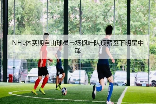 NHL休赛期自由球员市场枫叶队顶薪签下明星中锋