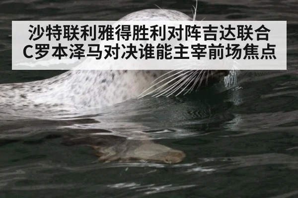 沙特联利雅得胜利对阵吉达联合 C罗本泽马对决谁能主宰前场焦点