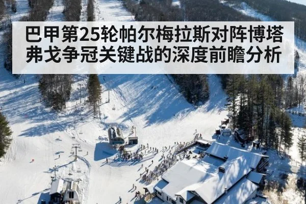 巴甲第25轮帕尔梅拉斯对阵博塔弗戈争冠关键战的深度前瞻分析